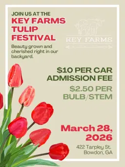 Key Farms Tulip Festival🌷