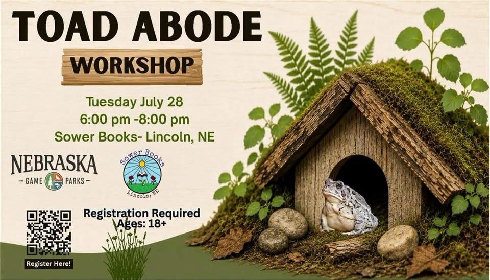 Toad Abode Workshop