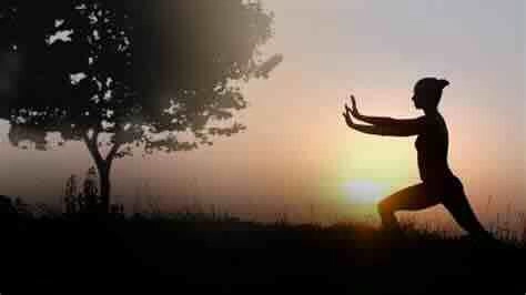 Qigong med Christin Wallgren vid S:t Eriksplan