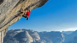 Freedom, Safety, Risk & Reward