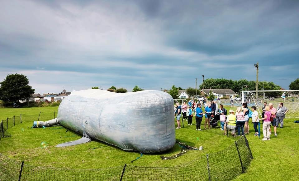 ๐ A Whale of a Day! Free Family Event
