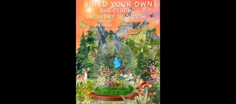 Build your own bug cloche 🪲