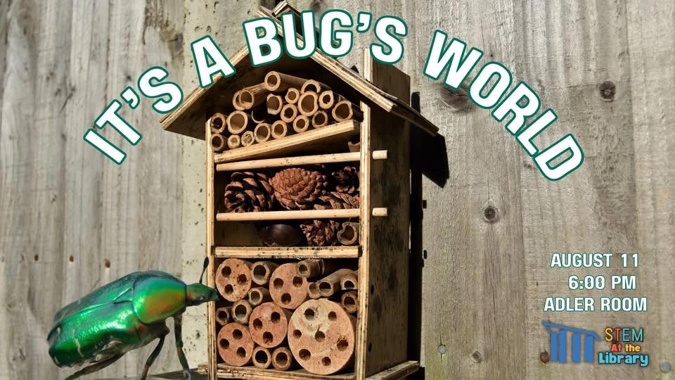 STEM at the Library: It's a Bug's World