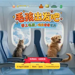 毛孩出发吧 ✈️