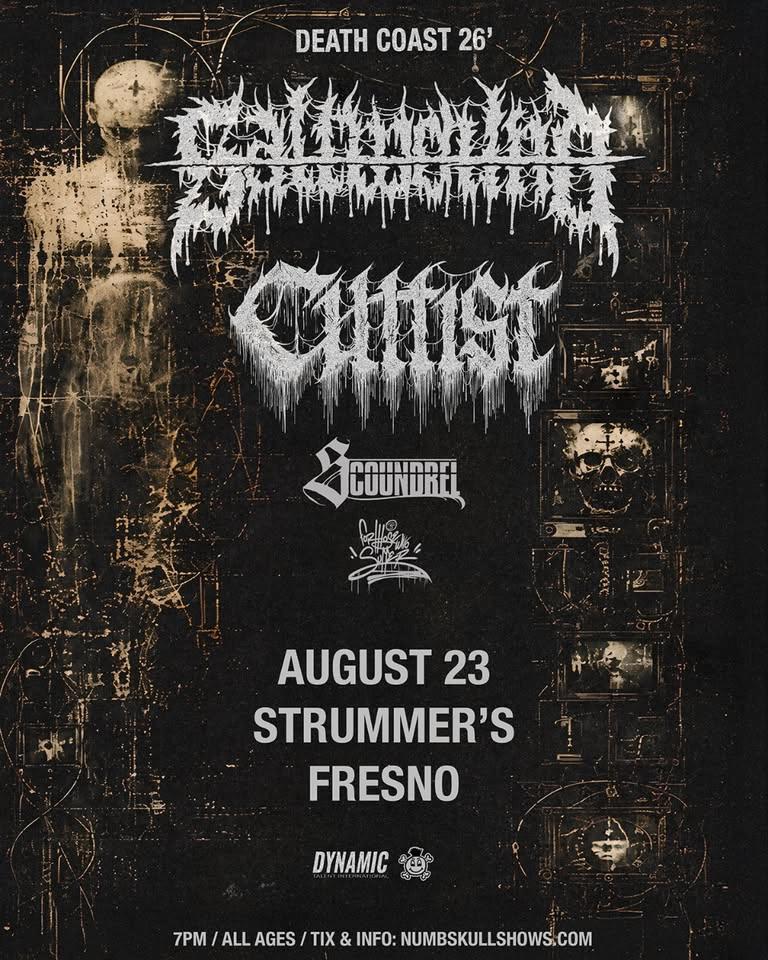 Saltwound, Cultist, Scoundrel, forthosewhosuffer