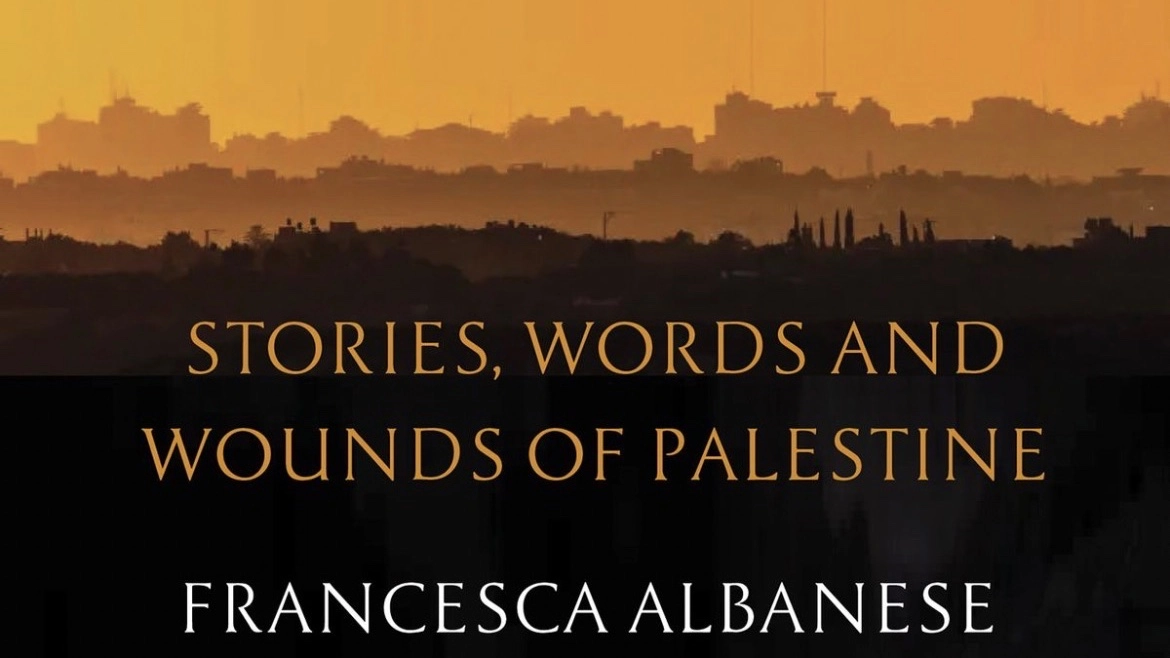 When the World Sleeps by Francesca Albanese