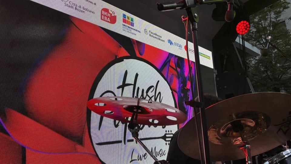 Hush Puppies Live