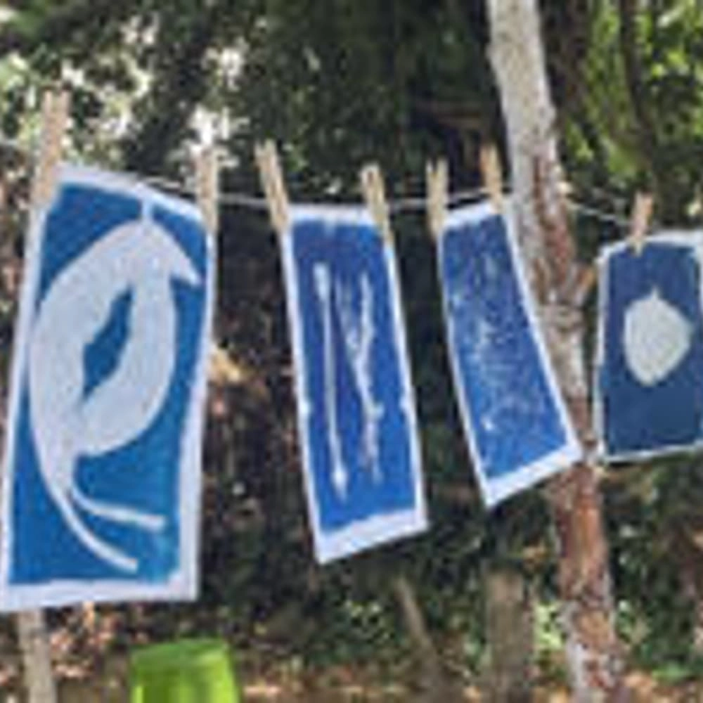 Cyanotype sunprint workshop