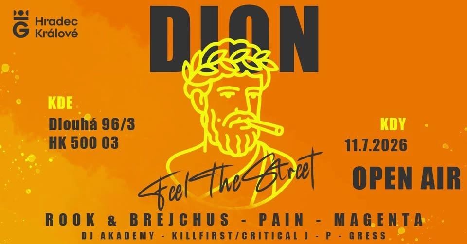 DION - Feel The Street