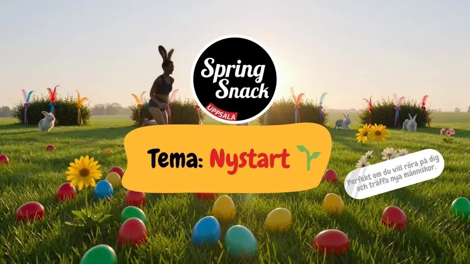 SpringSnack - Nystart