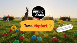 SpringSnack - Nystart