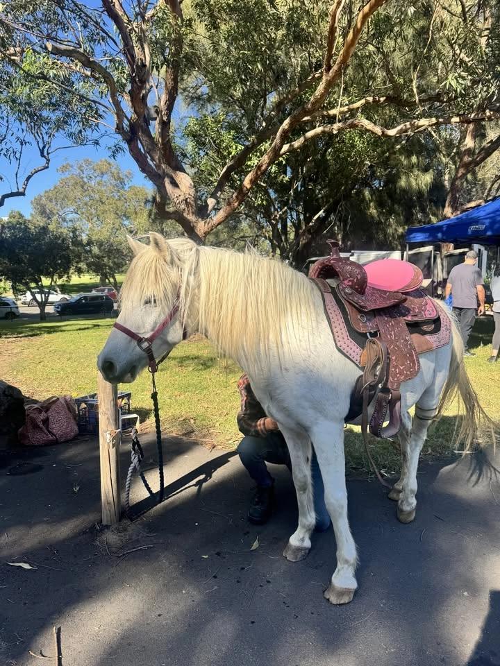 Earlwood Foodies Farmers & Artisans Market