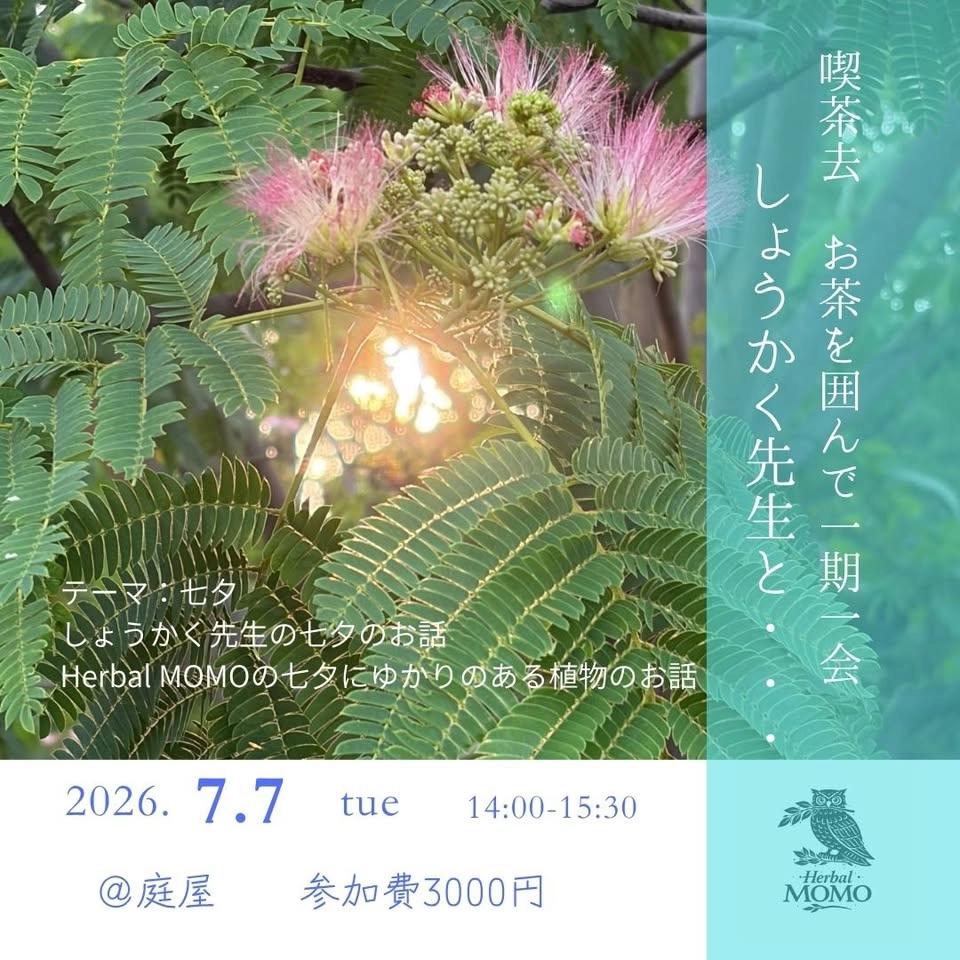 喫茶去 お茶を囲んで一期一会