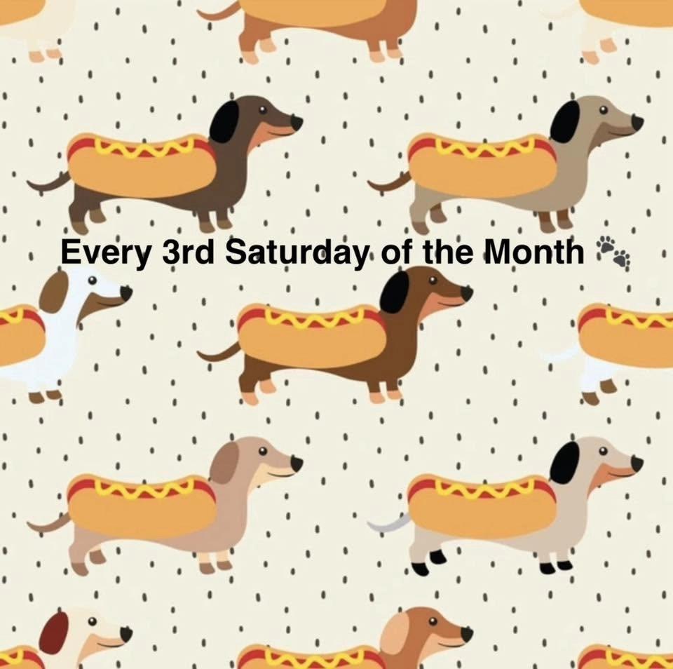 Sunday July Dachshund Meet Up