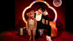 Kattkabaré (1,5-3 år)