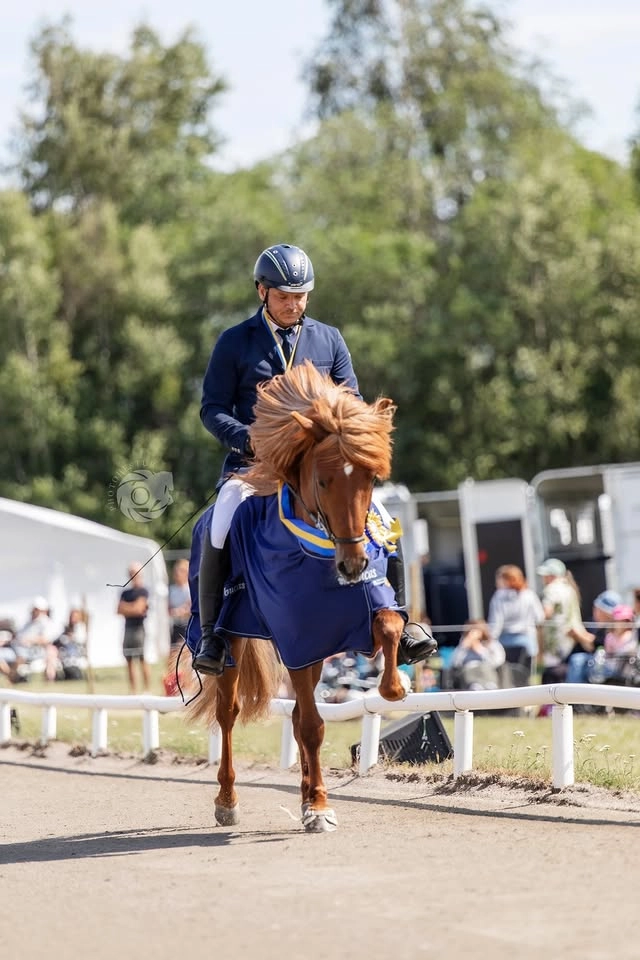 Träning för ”Stjani” och Cissi