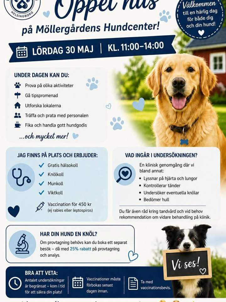 Öppethus på MöllerGårdens hundcenter