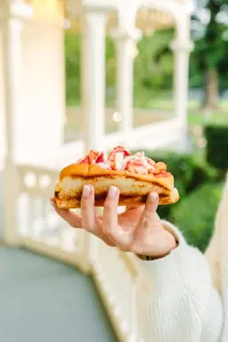 Cousins Maine Lobster🦞 at Davie: Palm Trace Landings Apartments