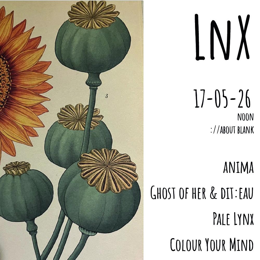 LnX