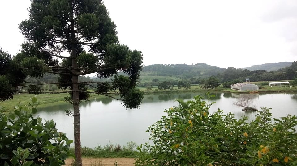 CAFÉ COM JJ88 edição São Marcos