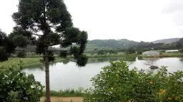 CAFÉ COM JJ88 edição São Marcos