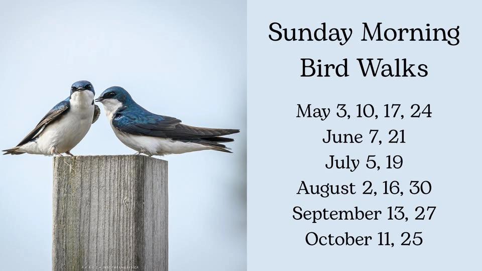 Sunday Morning Bird Walks