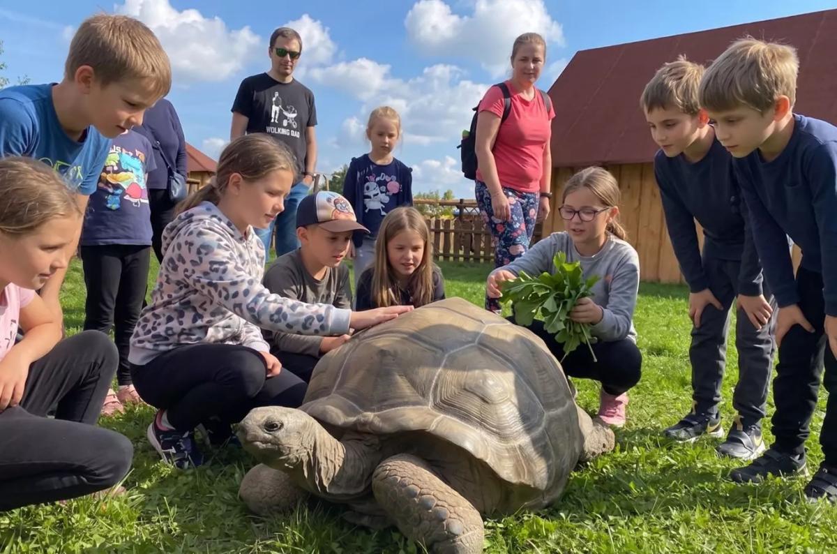 Víkend s želvami obrovskými v Zooparku Zelčín