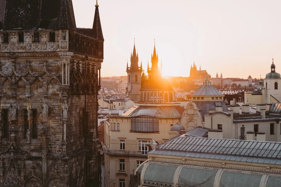 PART TIME LOCALS ROOFTOP