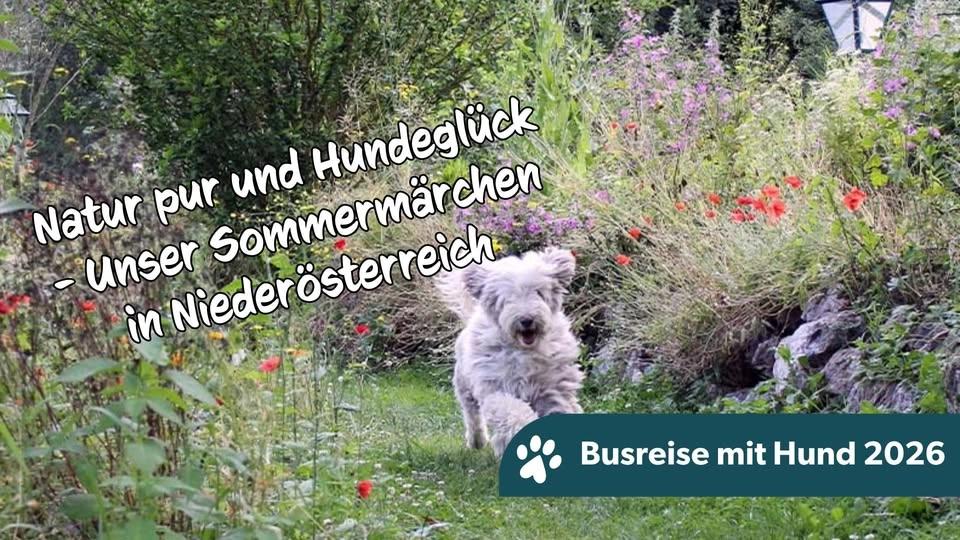 7 Tage | Natur pur & Hundeglück - Unser Urlaub in Niederösterreich!