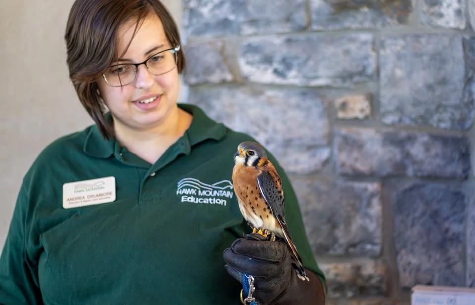 Hawk Watch: Raptors, Migration & Meadow Conservation