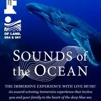 Sounds Of The Ocean
