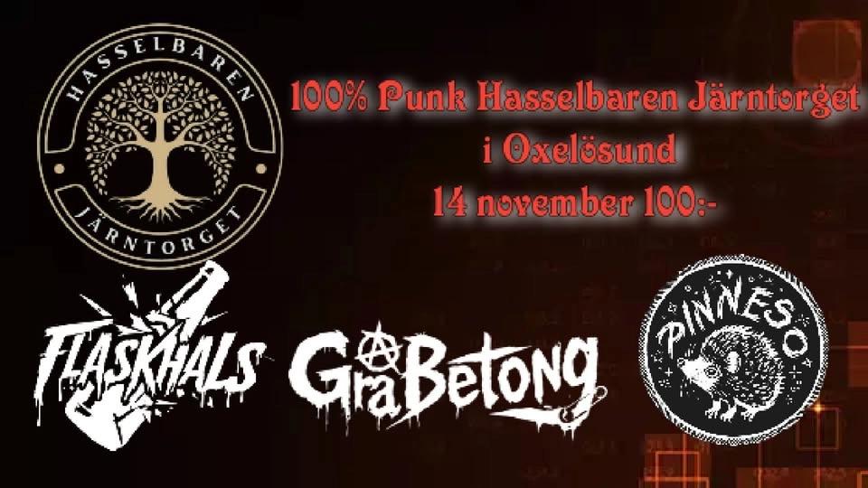 100% Punk Hasselbaren Järntorget Oxelösund