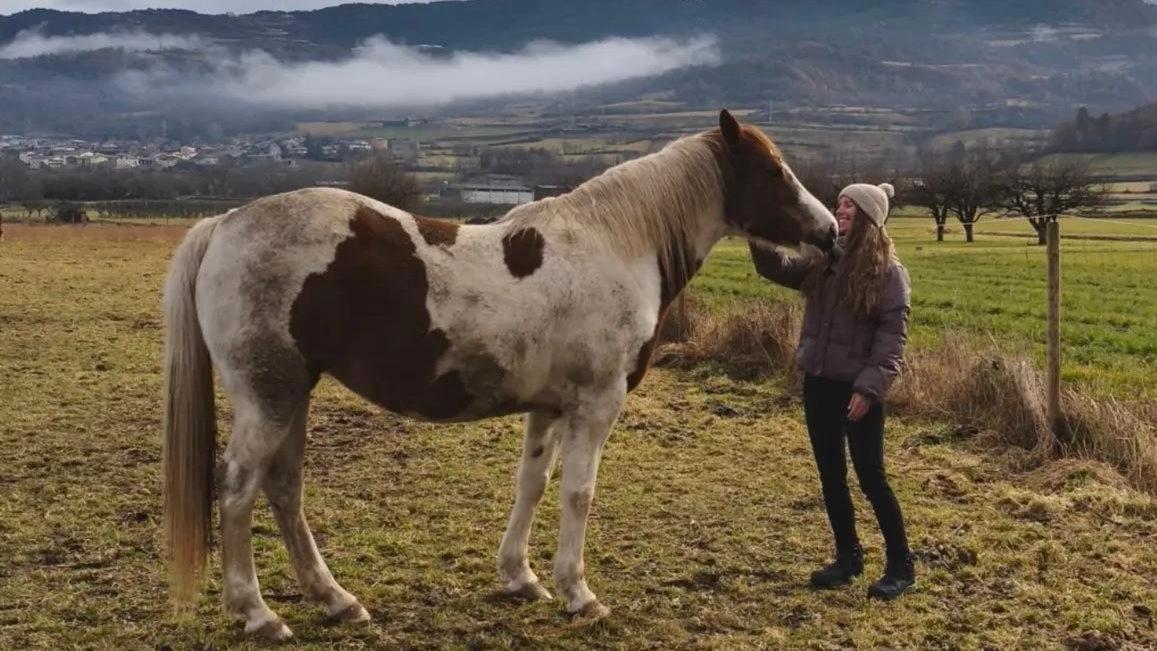 🐎✨ CONECTA CON LOS CABALLOS: UNA EXPERIENCIA ÚNICA EN LA SEU D’URGELL 🌿