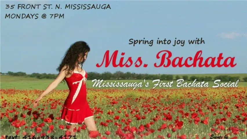 Bigger, Better, Bolder Miss Bachata & Miss Salsa