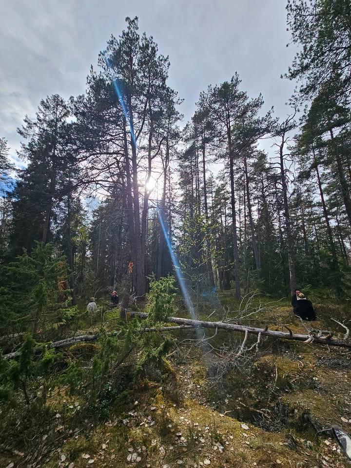 FULLBOKAT Skogsdejting ~ långsam dejting i naturliga omgivningar 30-50 år