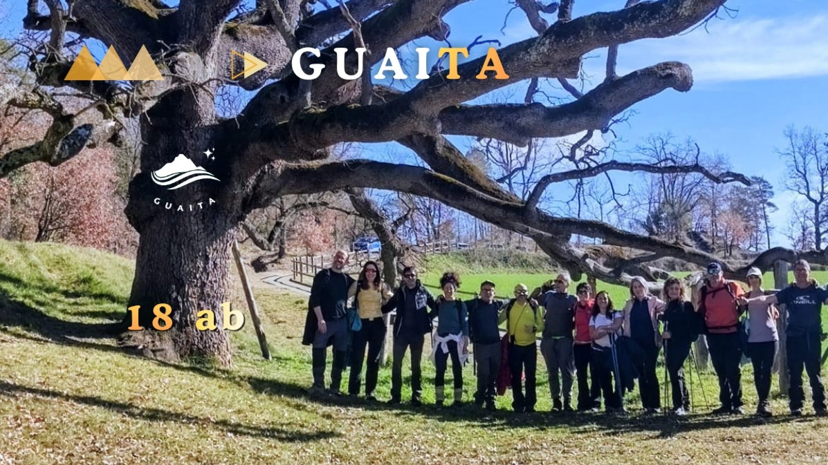 🌳🌳Robles Monumentales ★ St Boi Lluçanes★ Els Munts 🥾Ruta Nivel Medio 🌳🌳