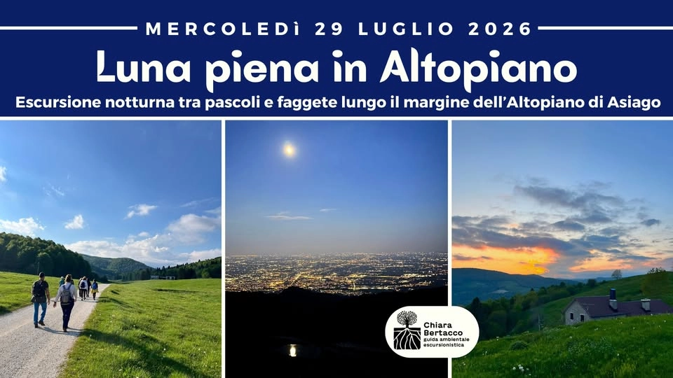 LUNA PIENA IN ALTOPIANO | Escursione notturna tra alpeggi e faggete sull'Altopiano di Asiago