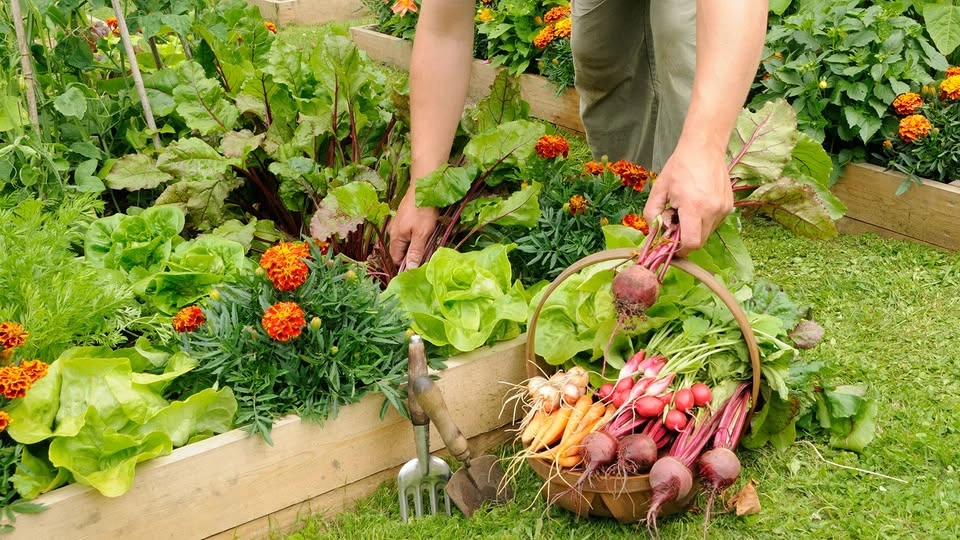 July Backyard Barter
