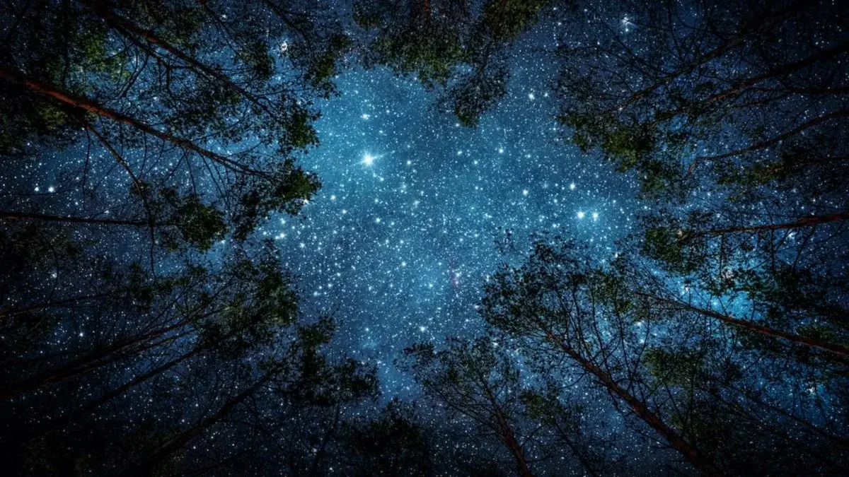 đExploring The Heavens With Telescopes + Post Pub DrinksđȘ