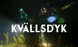 Kvällsdyk Betty Blue