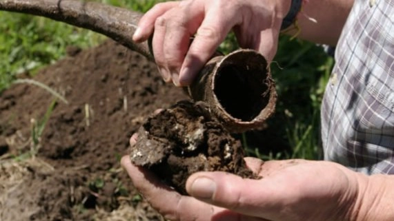 Agriculture for tomorrow