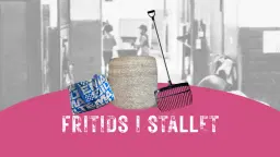 Fritids i stallet