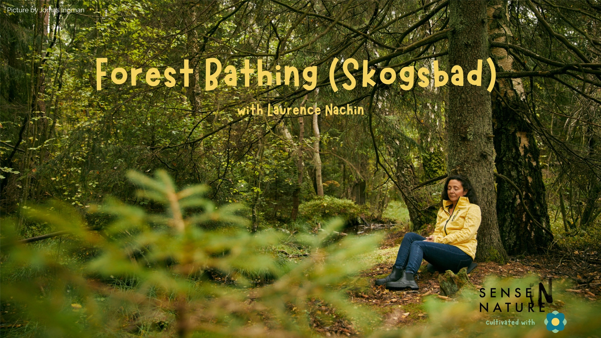 Forest Bathing (Skogsbad) with Laurence Nachin