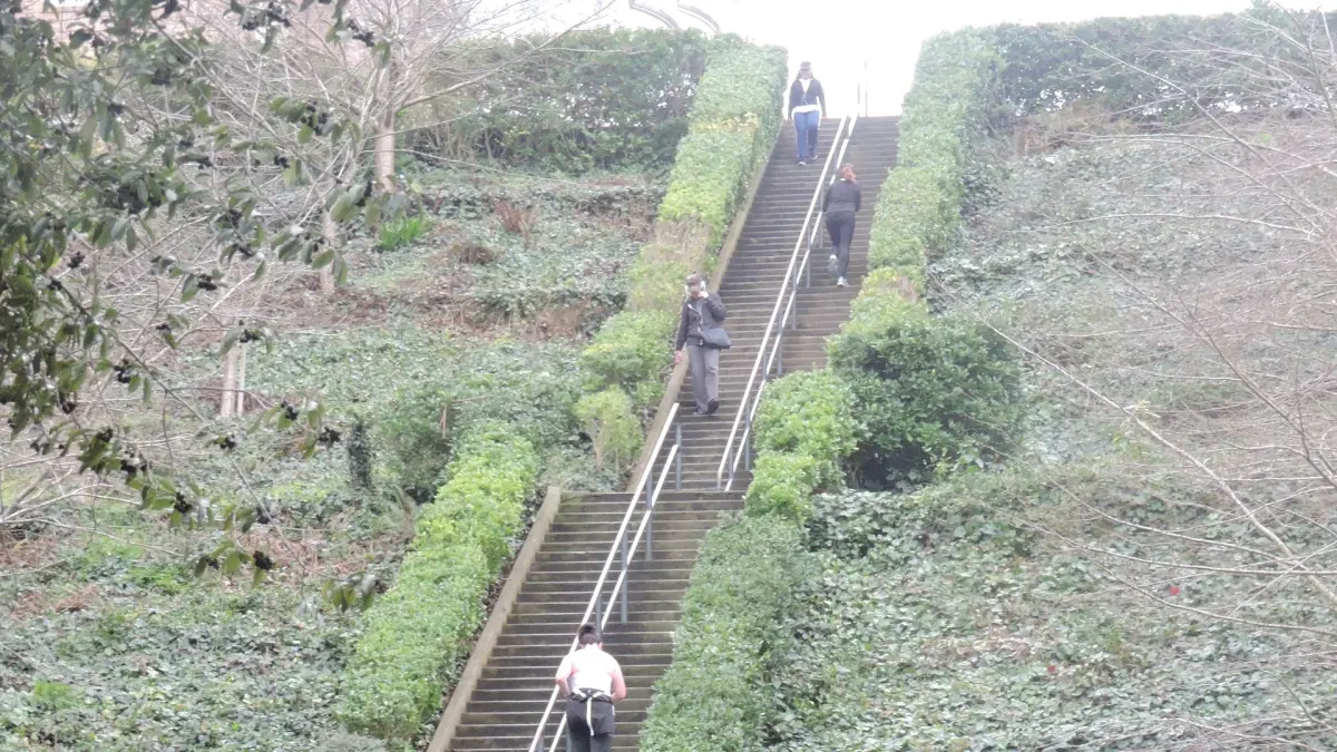 The Painted Ladies & Cherry Blossom Festival (Dogs Welcome)