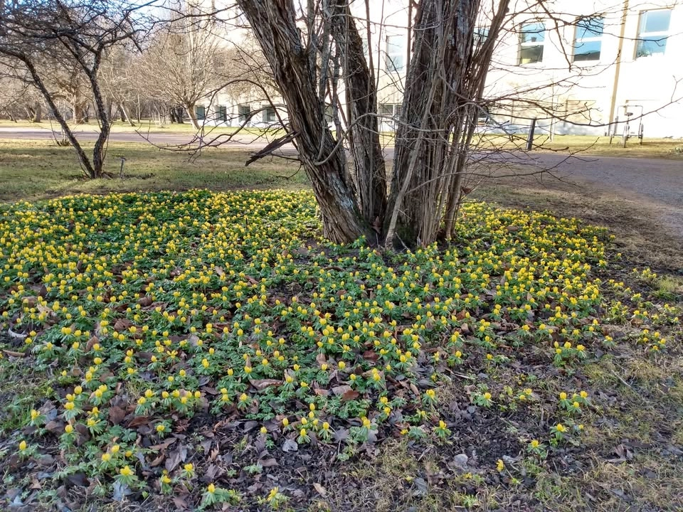 Monthly Meeting IMÄI April