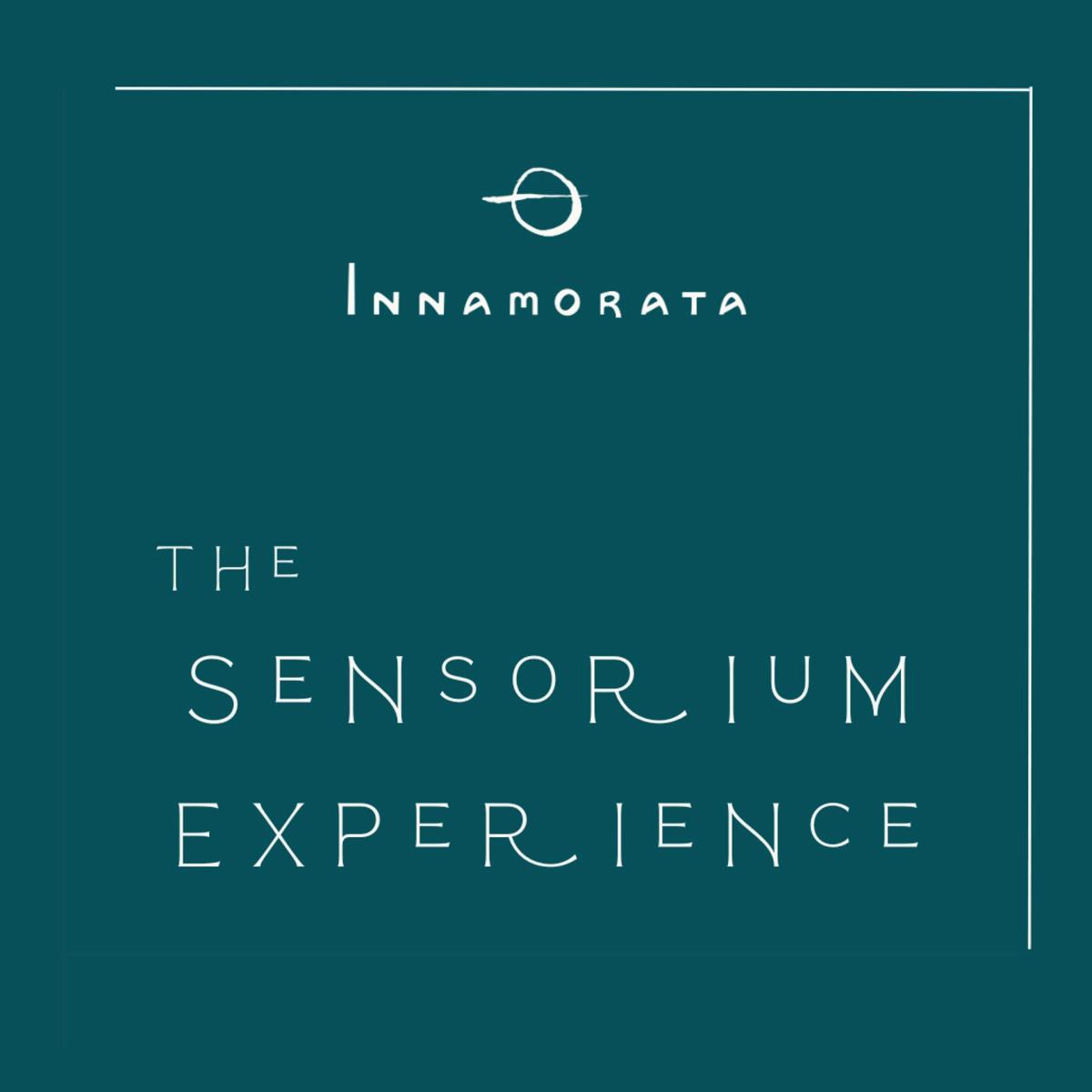 The Sensorium Experience