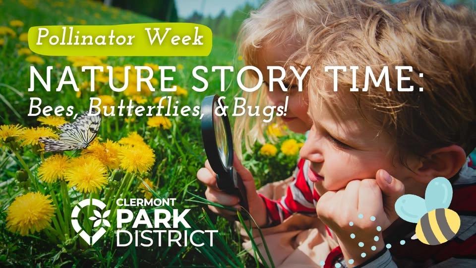 Nature Story time: Bees, Butterflies, and Bugs!