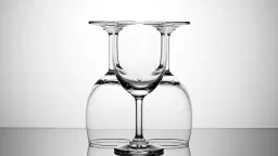 Dryck - Robert Wells