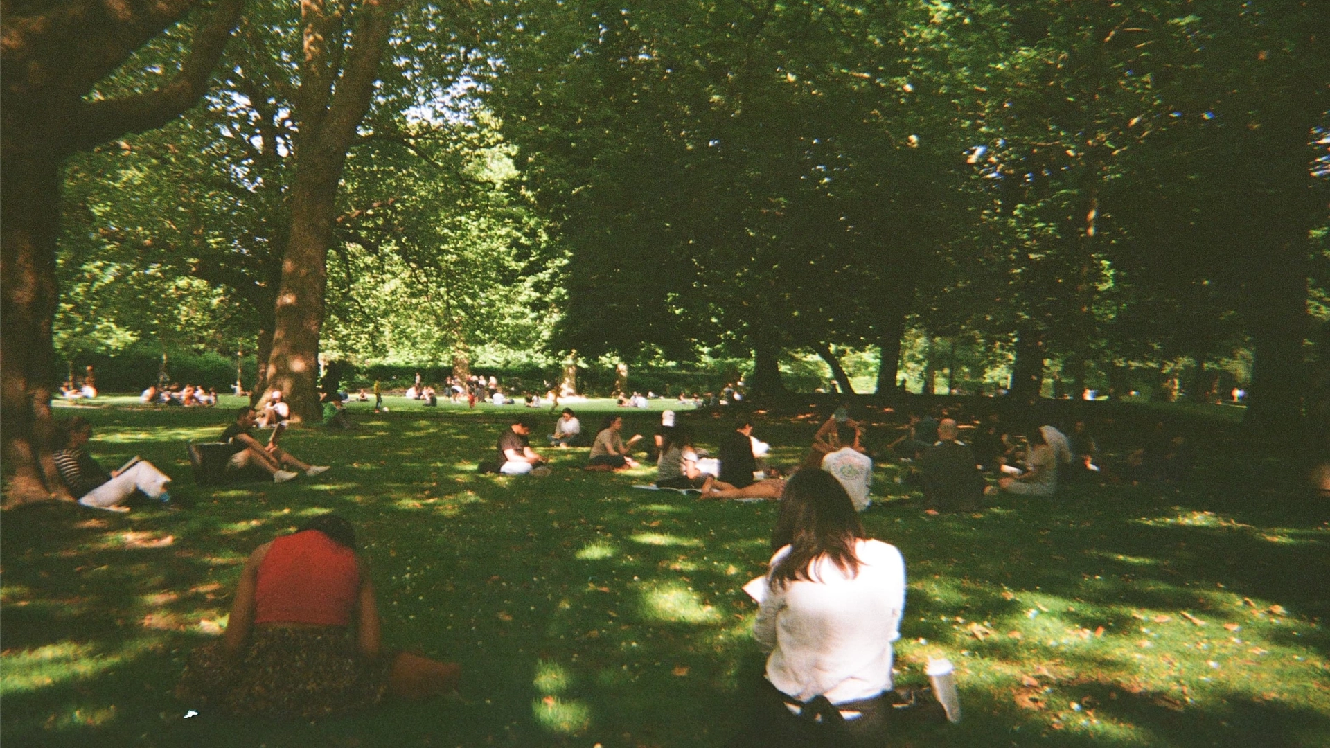 ๐ Silent Reading & Socialising ๐บ