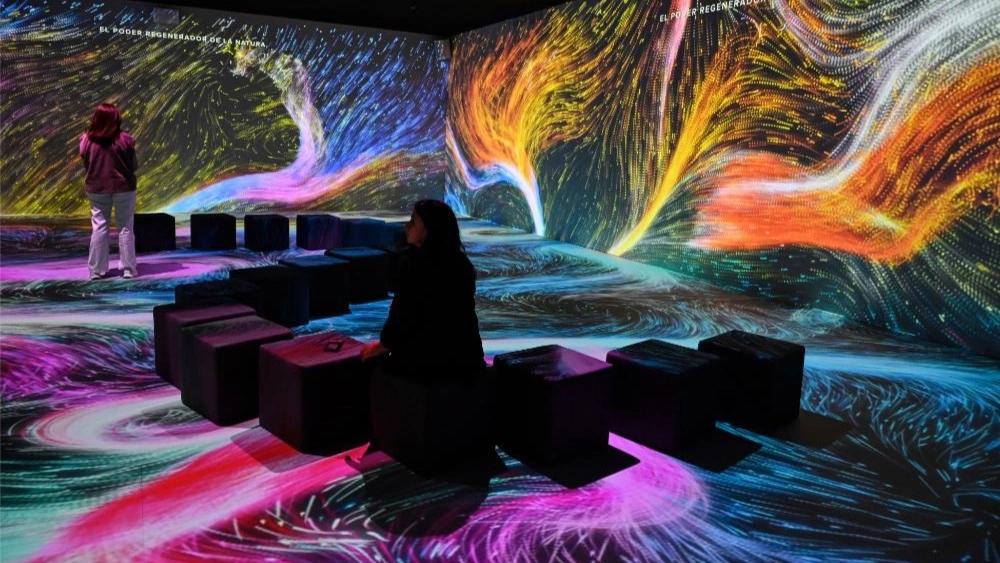 🌿 SOMOS NATURALEZA – Experiencia inmersiva en Caixa Forum🌿